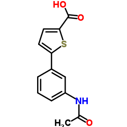 5-(3-acetamidophenyl)thiophene-2-carboxylic acid Structure