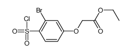 ethyl 2-(3-bromo-4-chlorosulfonylphenoxy)acetate Structure