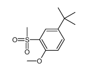 4-tert-butyl-1-methoxy-2-methylsulfonylbenzene Structure