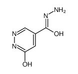 6-氧代-1,6-二氢吡嗪-4-碳酰肼图片