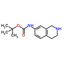 (1,2,3,4-四氢异喹啉-7-基)氨基甲酸叔丁酯图片