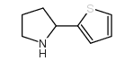 2-(2-噻吩基)吡咯烷结构式