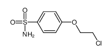 4-(2-chloroethoxy)benzenesulfonamide Structure