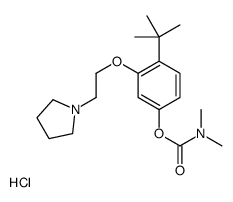 [4-tert-butyl-3-(2-pyrrolidin-1-ylethoxy)phenyl] N,N-dimethylcarbamate,hydrochloride Structure