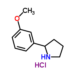 2-(3-METHOXY-PHENYL)-PYRROLIDINE, HYDROCHLORIDE picture