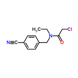 2-Chloro-N-(4-cyanobenzyl)-N-ethylacetamide结构式