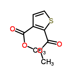 Dimethyl 2,3-thiophenedicarboxylate picture