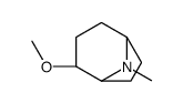 4-methoxy-8-methyl-8-azabicyclo[3.2.1]octane Structure