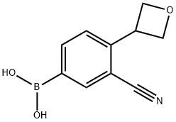 (3-cyano-4-(oxetan-3-yl)phenyl)boronic acid structure