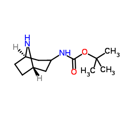 tert-Butyl 8-aza-bicyclo[3.2.1]octan-3-ylcarbamate picture