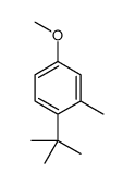4-tert-butyl-3-methylanisole Structure