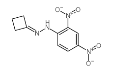 N-(cyclobutylideneamino)-2,4-dinitro-aniline Structure