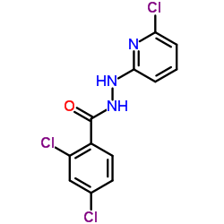 2,4-Dichloro-N'-(6-chloro-2-pyridinyl)benzohydrazide Structure