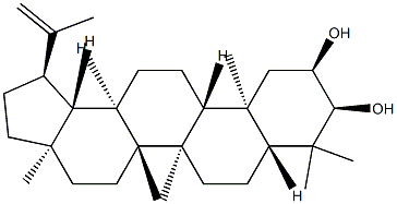 Lup-20(29)-ene-2α,3α-diol结构式