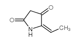 2,4-Pyrrolidinedione,5-ethylidene-,(E)-(9CI) picture