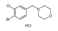 4-[(4-Bromo-3-chlorophenyl)methyl]-morpholine hydrochloride picture