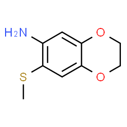 7-(Methylsulfanyl)-2,3-dihydro-1,4-benzodioxin-6-amine Structure