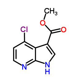 4-Chloro-7-azaindole-3-carboxylic acid Methyl ester picture