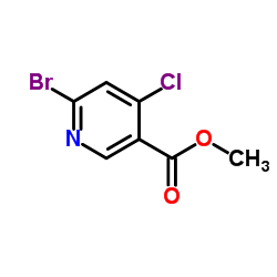 Methyl 6-bromo-4-chloronicotinate structure