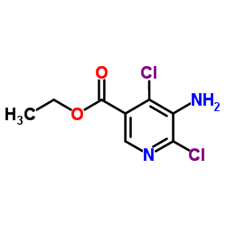 5-氨基-4,6-二氯烟酸乙酯图片