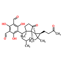 Eucalyptone structure