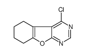 4-CHLORO-5,6,7,8-TETRAHYDROBENZOFURO[2,3-D]PYRIMIDINE结构式