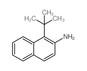 1-叔丁基萘-2-胺结构式
