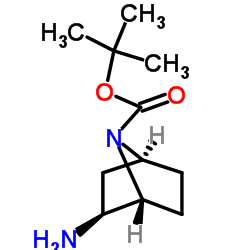 (1r,2s,4s)-rel-2-amino-7-boc-7-azabicyclo[2.2.1]heptane Structure