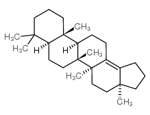 22,29,30-TRISNORNEOHOP-13(18)-ENE Structure