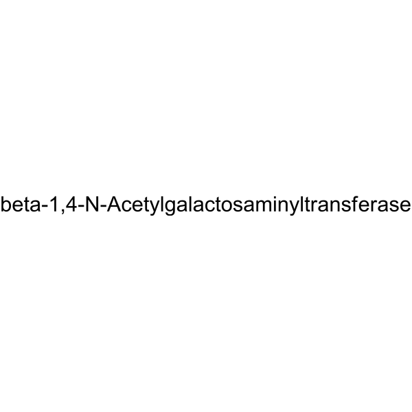 beta-1,4-N-Acetylgalactosaminyltransferase Structure