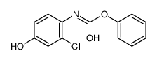 phenyl 2-chloro-4-hydroxyphenylcarbaMate Structure