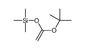 trimethyl-[1-[(2-methylpropan-2-yl)oxy]ethenoxy]silane Structure