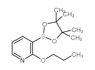 2-丙氧基-3-(4,4,5,5-四甲基-1,3,2-二氧硼杂环戊烷-2-基)吡啶图片