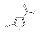 3-Thiophenecarboxylicacid,5-amino-结构式