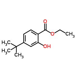 Ethyl 2-hydroxy-4-(2-methyl-2-propanyl)benzoate structure