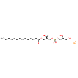 1-Myristoyl-2-hydroxy-sn-glycero-3-PG (sodium salt) picture