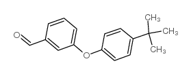 3-(4-tert-butylphenoxy)benzaldehyde picture