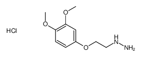 2-(3,4-dimethoxyphenoxy)ethylhydrazine,hydrochloride结构式