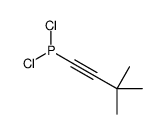 dichloro(3,3-dimethylbut-1-ynyl)phosphane结构式