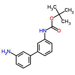2-Methyl-2-propanyl (3'-amino-3-biphenylyl)carbamate结构式