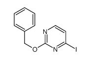 4-iodo-2-phenylmethoxypyrimidine Structure