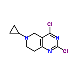 2,4-Dichloro-6-cyclopropyl-5,6,7,8-tetrahydropyrido[4,3-d]pyrimidine结构式