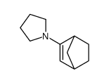 1-(3-bicyclo[2.2.1]hept-2-enyl)pyrrolidine结构式