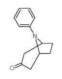 8-Azabicyclo[3.2.1]octan-3-one,8-phenyl- structure