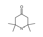 2,2,6,6-Tetramethyl-4-oxo-piperidyl-radikal结构式