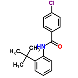 4-Chloro-N-[2-(2-methyl-2-propanyl)phenyl]benzamide结构式