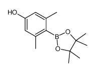 3,5-Dimethyl-4-(4,4,5,5-tetramethyl-1,3,2-dioxaborolan-2-yl)pheno l Structure