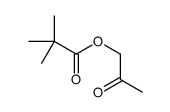 2-oxopropyl 2,2-dimethylpropanoate Structure