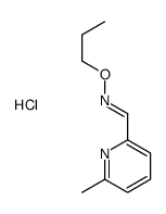 (E)-1-(6-methylpyridin-2-yl)-N-propoxymethanimine,hydrochloride Structure