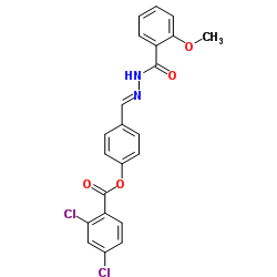 4-{(E)-[(2-Methoxybenzoyl)hydrazono]methyl}phenyl 2,4-dichlorobenzoate结构式